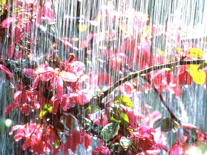 Spring Showers, London